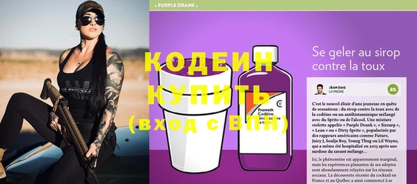 ГАЛЛЮЦИНОГЕННЫЕ ГРИБЫ Богданович