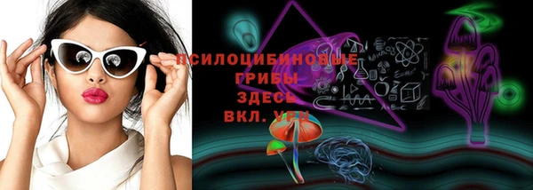 ГАЛЛЮЦИНОГЕННЫЕ ГРИБЫ Богданович