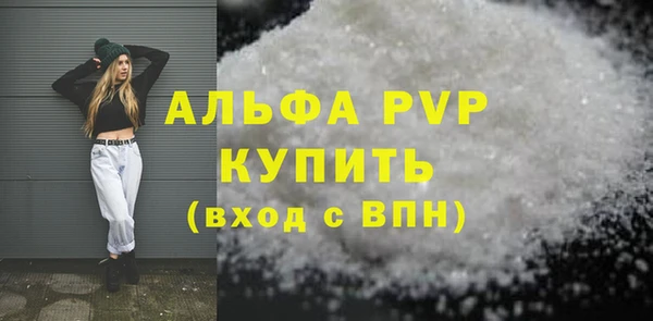 ГАЛЛЮЦИНОГЕННЫЕ ГРИБЫ Богданович
