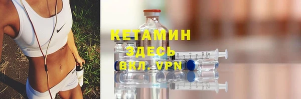 ГАЛЛЮЦИНОГЕННЫЕ ГРИБЫ Богданович