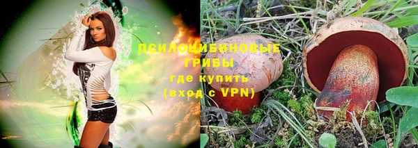 ALPHA PVP Богородск