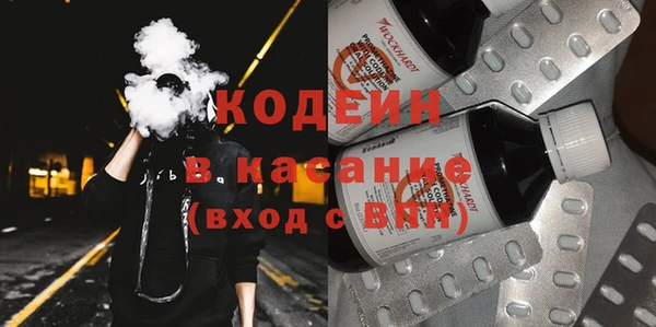 ГАЛЛЮЦИНОГЕННЫЕ ГРИБЫ Богданович