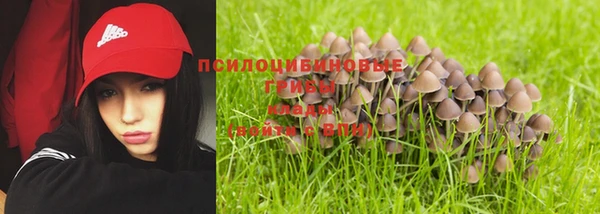 ALPHA PVP Богородск
